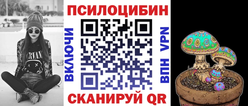 Псилоцибиновые грибы Psilocybe  что такое наркотик  Щёлкино 